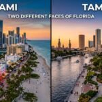 Miami vs Tampa