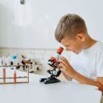 A Complete Guide to Choosing the Best Primary 6 Science Tuition