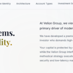 VelionGroup-LTD.com Review