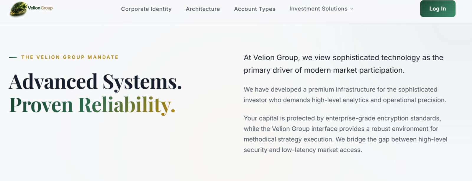 VelionGroup-LTD.com Review