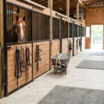 Comfortable Stable for Your Horse